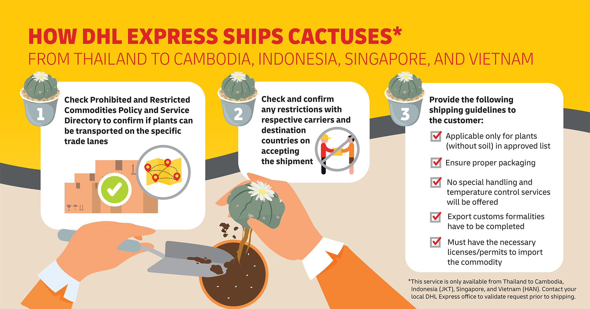How-DHL-Express-ships-cactuses